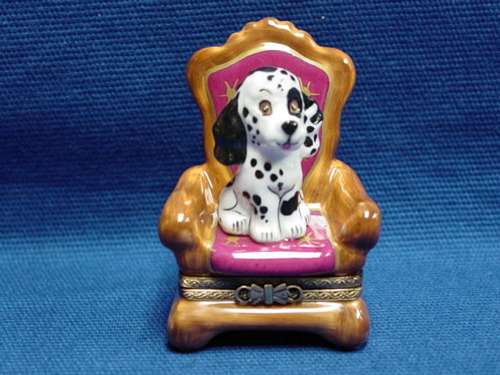 DOG IN CHAIR